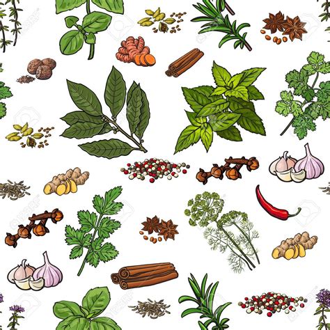 spices drawing|spice drawing drawings.